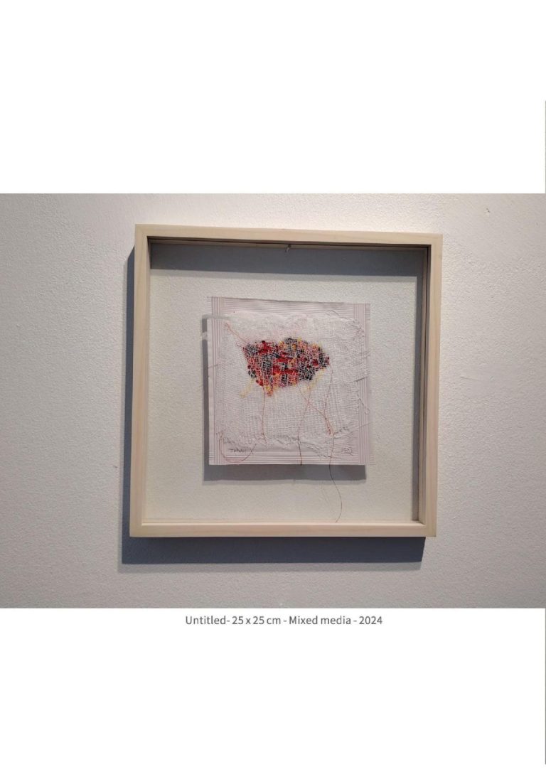 untitled - 25x25 cm - mixed media -2024