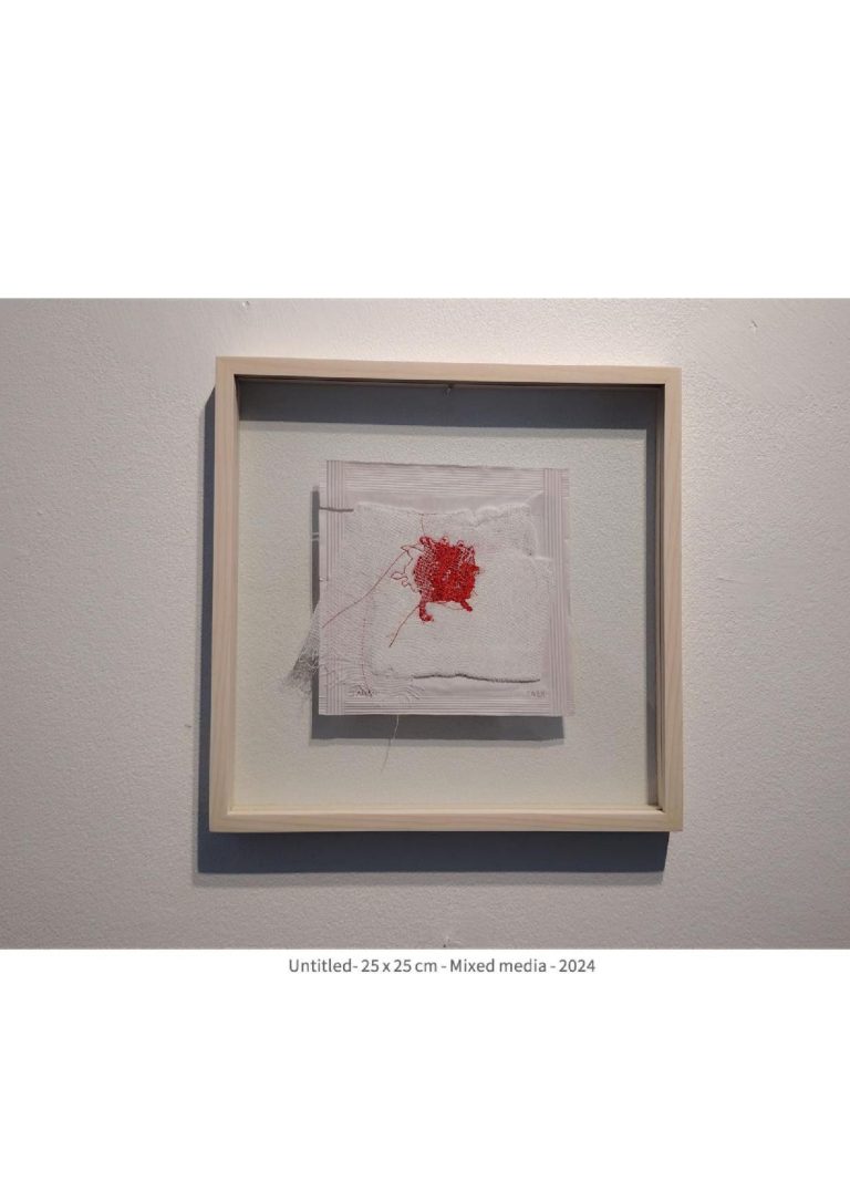 untitled - 25x25 cm - mixed media -2024