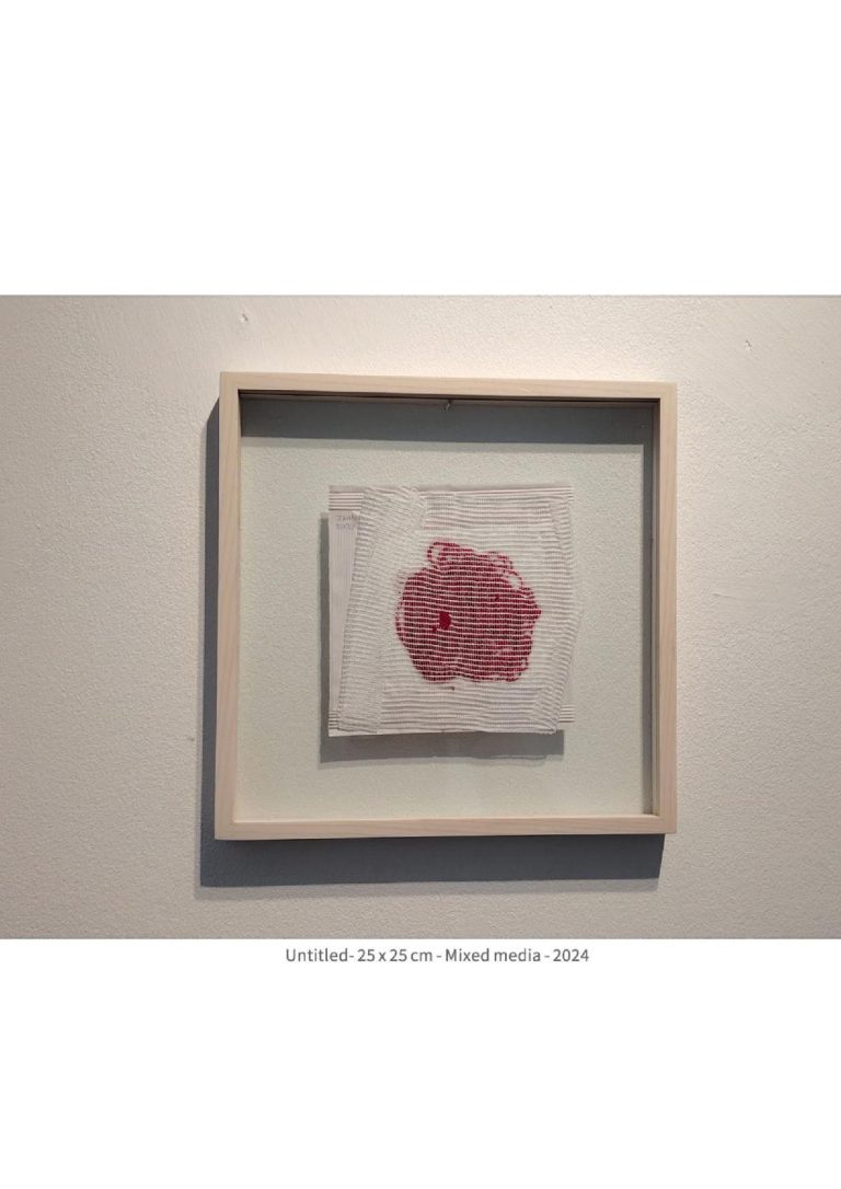 untitled - 25x25 cm - mixed media -2024