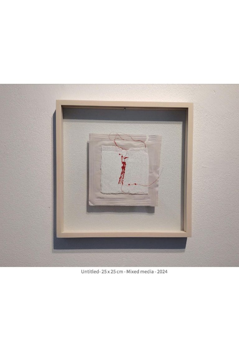 untitled - 25x25 cm - mixed media -2024