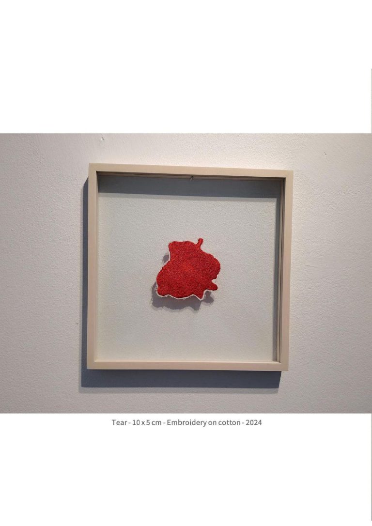 tear- 10x5 cm - embroidery on cotton -2024