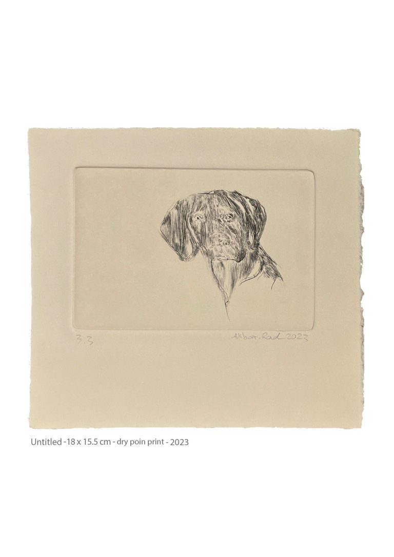 Untitled - 18x15.5 cm - dry point print - 2023