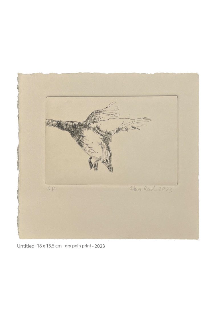 Untitled - 18x15.5 cm - dry point print - 2023