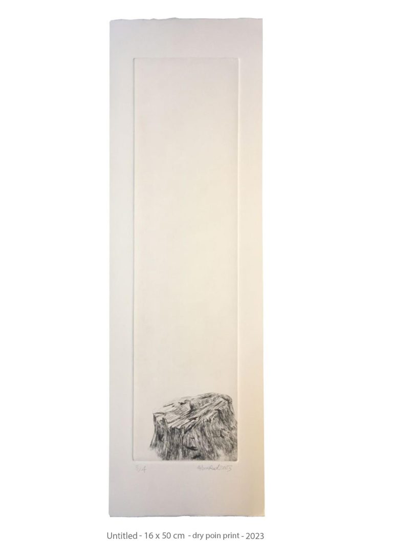 Untitled - 16x50cm - dry point print - 2023