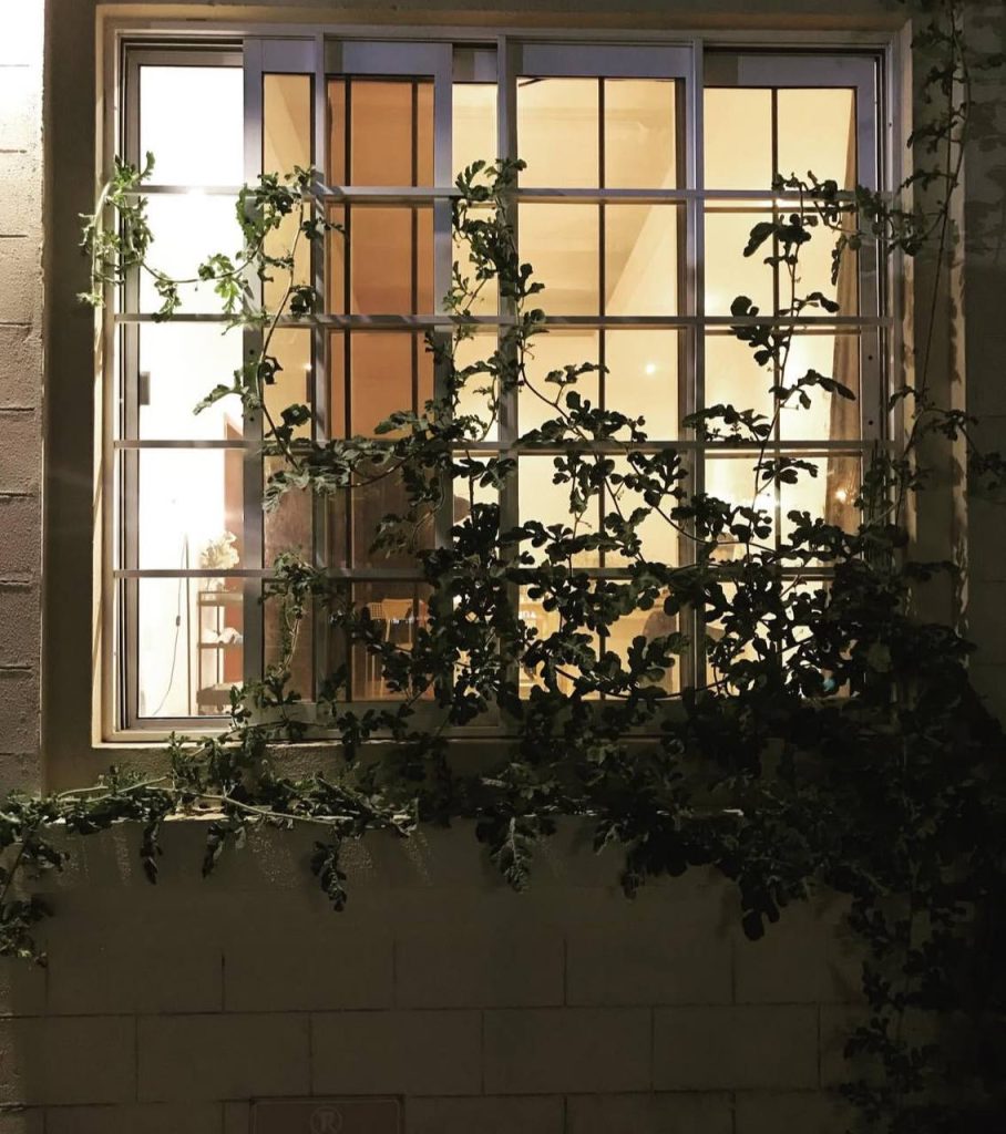 Kiana khazchin _ IN art residency