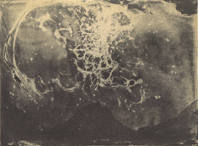 Oveis Ramezani, Untitled from Sun-Eater Collection Wet plate collodion photography Vandyke brown print toned in Gold-Thiourea toner 13.8*18.8 cm 2024-2025 Unique Edition