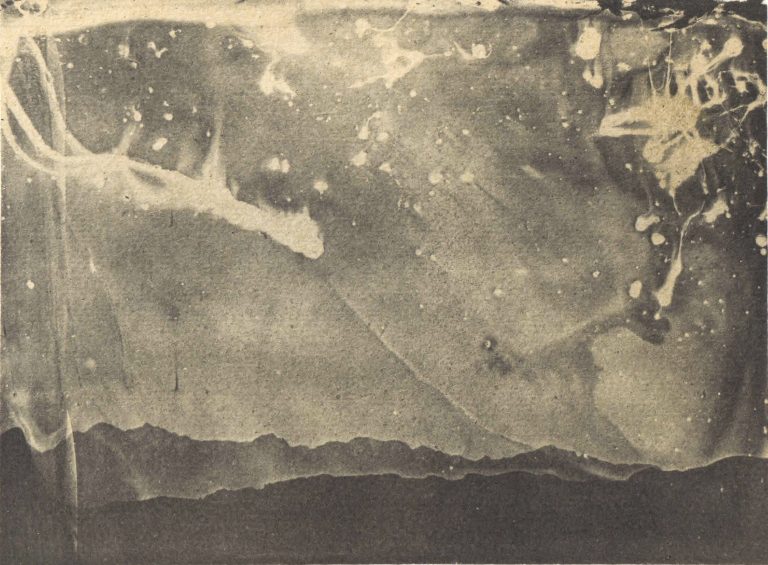 Oveis Ramezani, Untitled from Sun-Eater Collection Wet plate collodion photography Vandyke brown print toned in Gold-Thiourea toner 13.8*18.8 cm 2024-2025 Unique Edition
