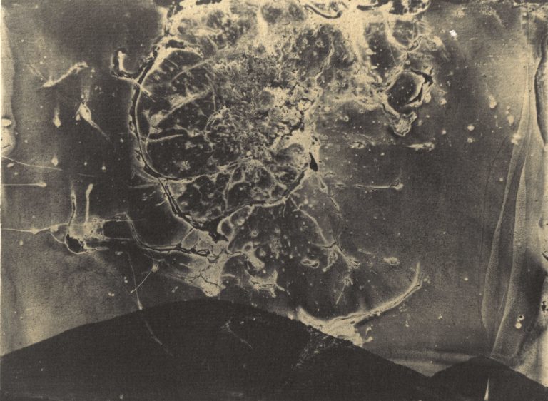Oveis Ramezani, Untitled from Sun-Eater Collection Wet plate collodion photography Vandyke brown print toned in Gold-Thiourea toner 13.8*18.8 cm 2024-2025 Unique Edition