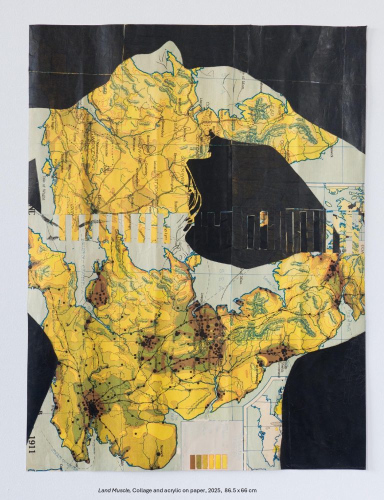 Land Muscle, collage and acrylic on paper, 2025, 86.5x66cm