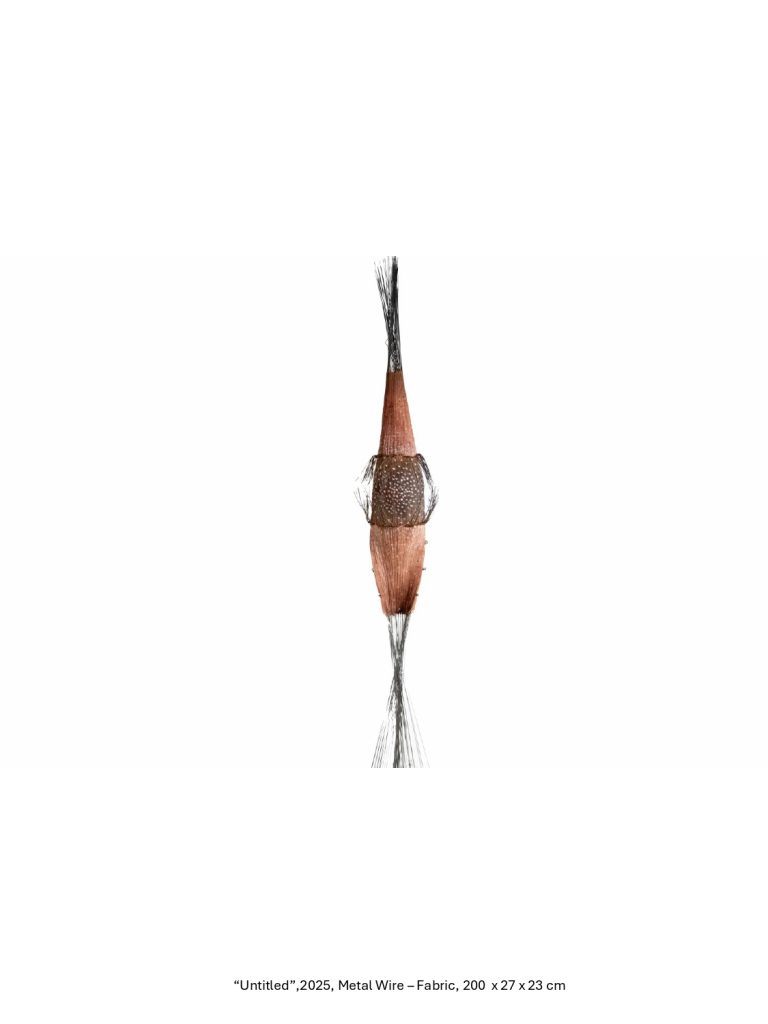 “Untitled”,2025, Metal Wire – Fabric, 200 x 27 x 23 cm