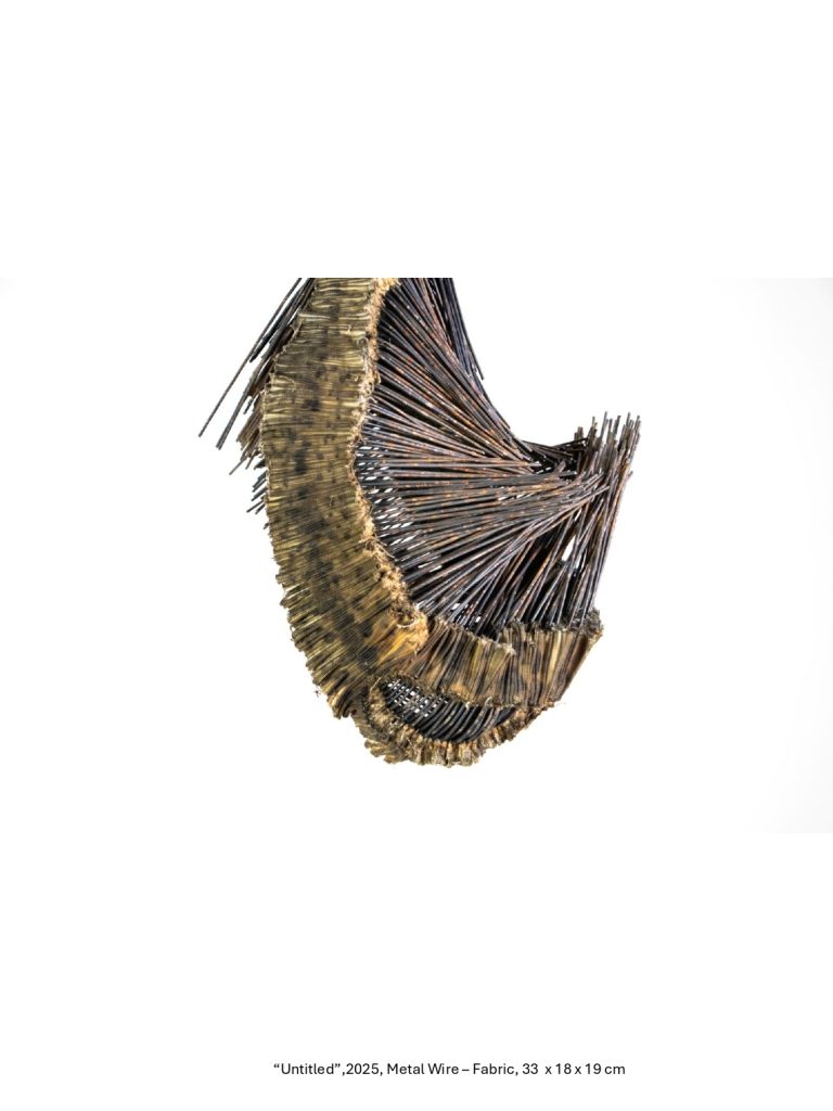 “Untitled”,2025, Metal Wire – Fabric, 33 x 18 x 19 cm