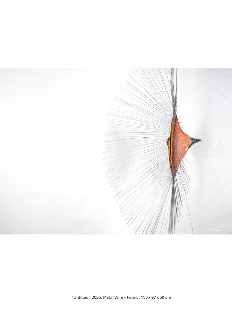 “Untitled”,2025, Metal Wire – Fabric, 150 x 97 x 50 cm