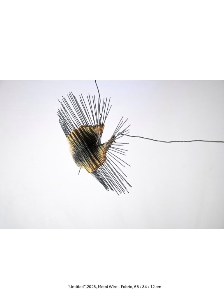 “Untitled”,2025, Metal Wire – Fabric, 65 x 34 x 12 cm
