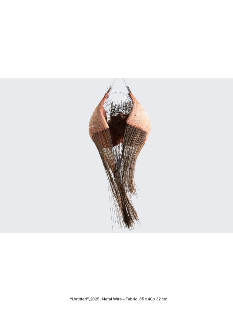 “Untitled”,2025, Metal Wire – Fabric, 85 x 40 x 32 cm