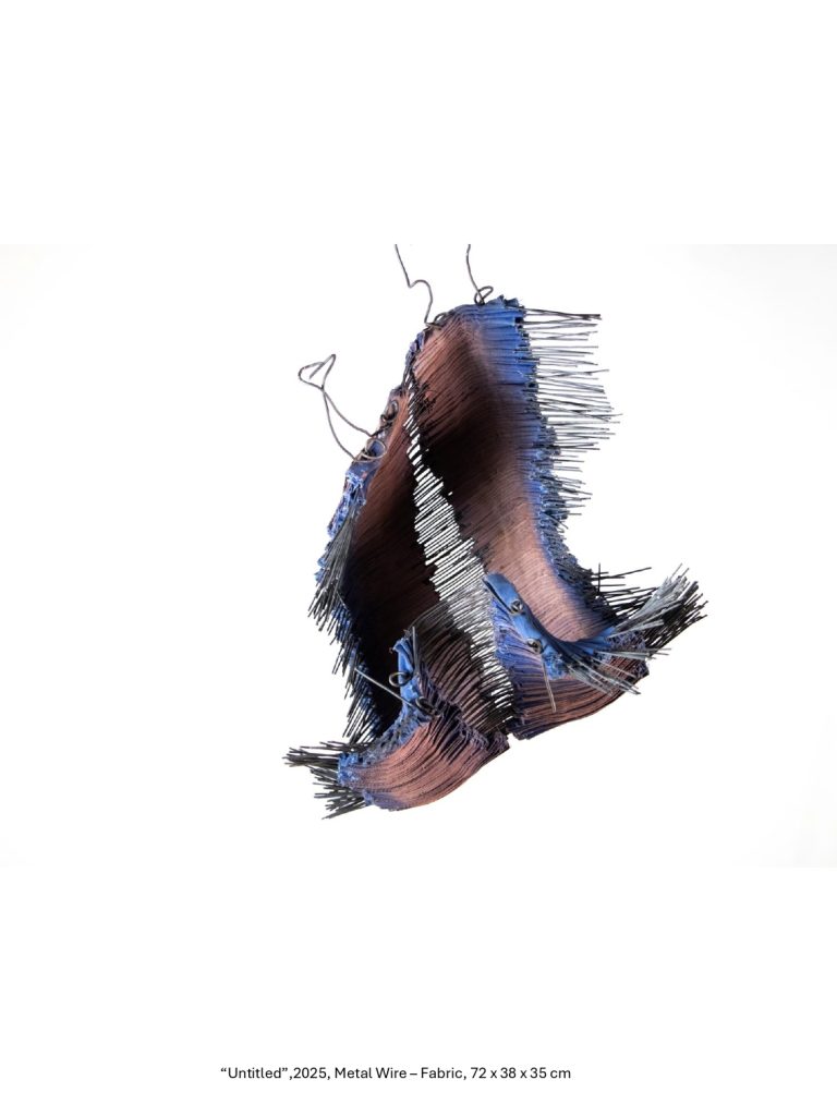“Untitled”,2025, Metal Wire – Fabric, 72 x 38 x 35 cm