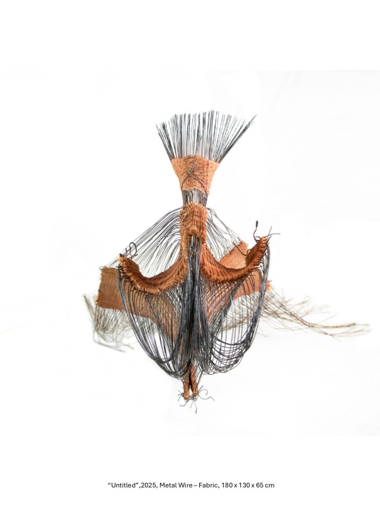 “Untitled”,2025, Metal Wire – Fabric, 180 x 130 x 65 cm