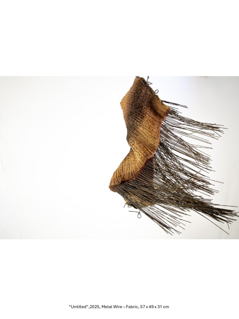 “Untitled”,2025, Metal Wire – Fabric, 57 x 49 x 31 cm