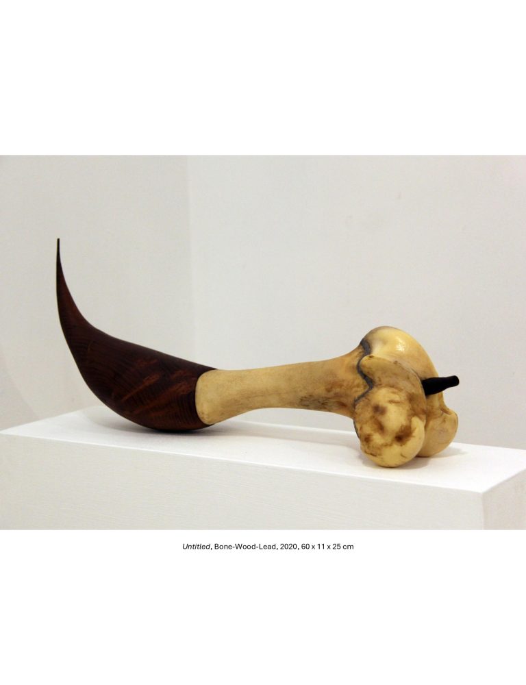 Rising-from-Blood-Amir-Abbasi-Asr-Bostan-Gallery-2025_page-0002