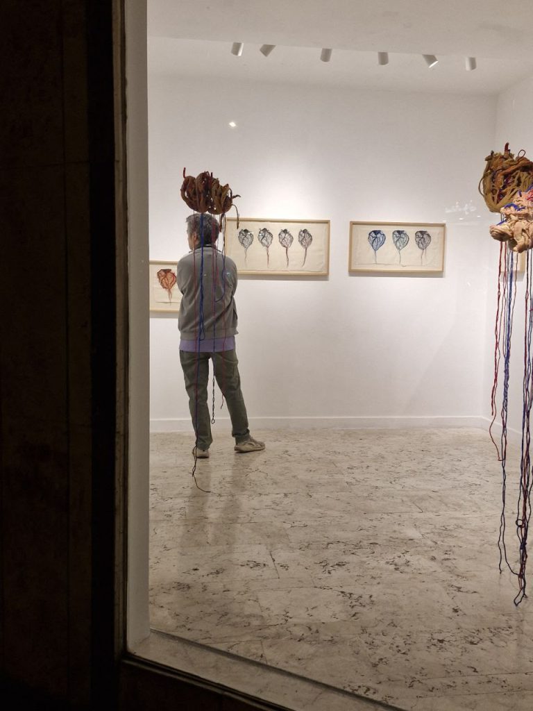 IMG_20251108_080935_437