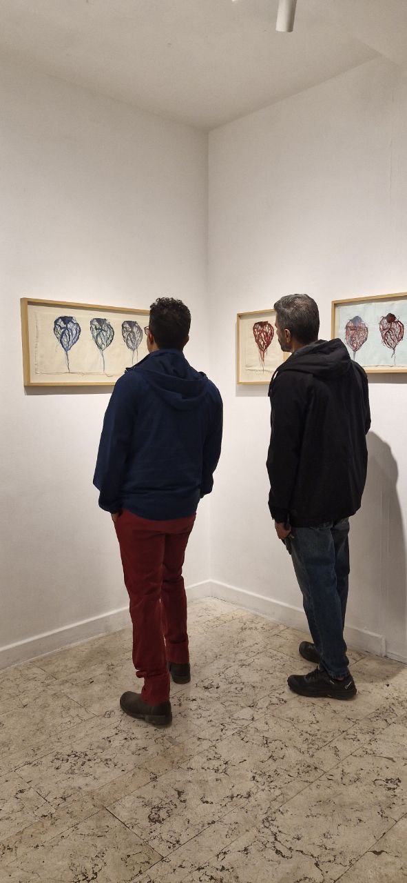 IMG_20251108_081208_886