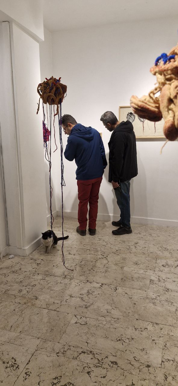 IMG_20251108_081216_304