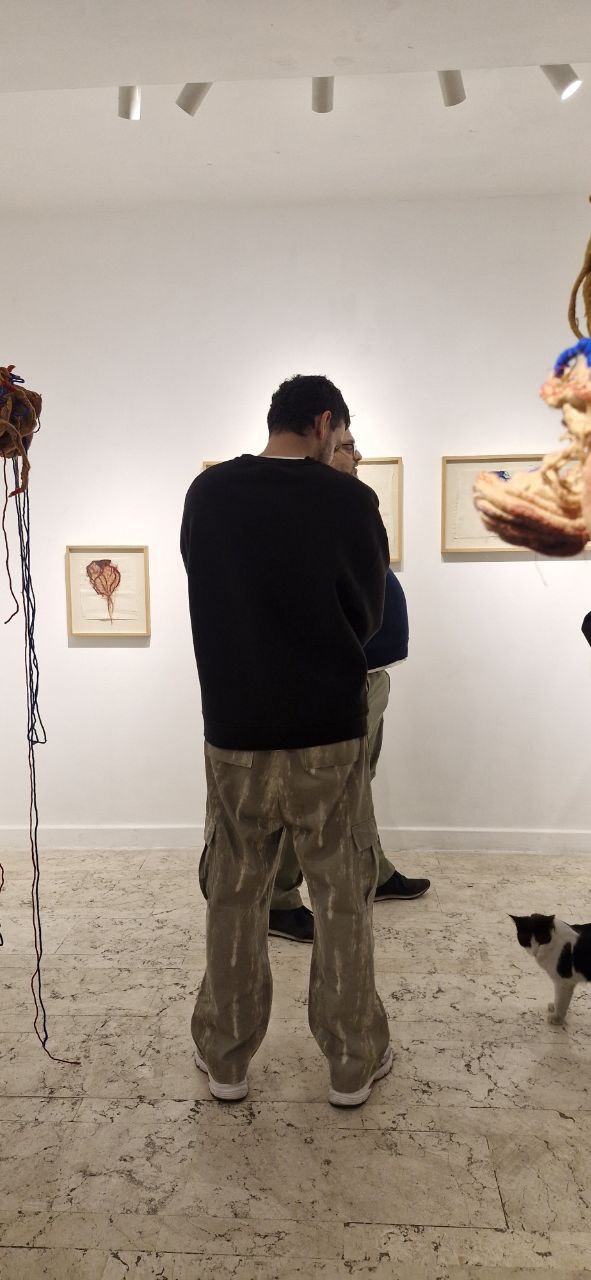 IMG_20251108_081228_553