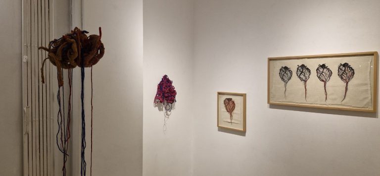 IMG_20251108_081245_086