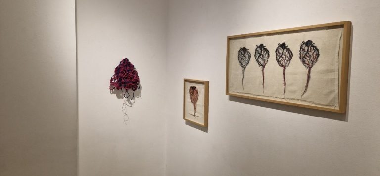 IMG_20251108_081252_029