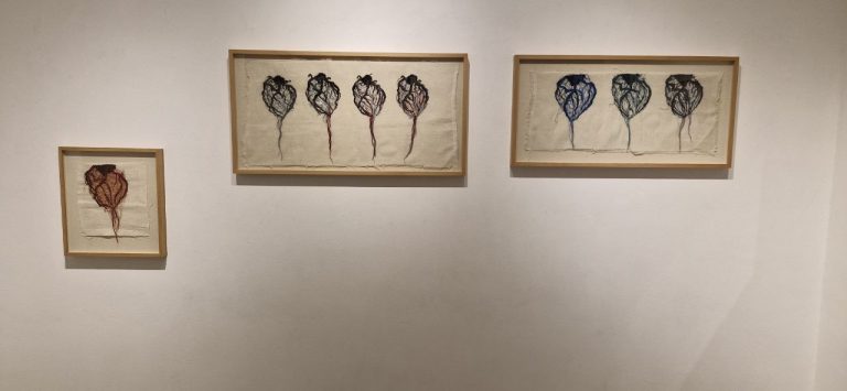 IMG_20251108_081256_515