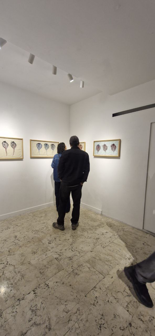 IMG_20251108_081319_513