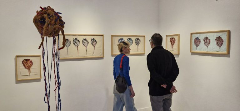 IMG_20251108_081439_031