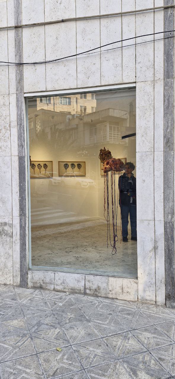 IMG_20251108_081513_653