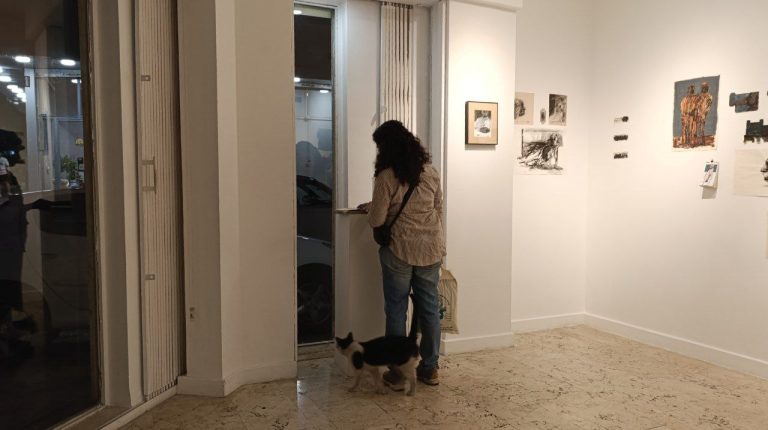 installation view