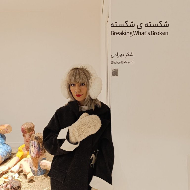 Shekar Bahrami -  Breaking What's Broken project - Installation views