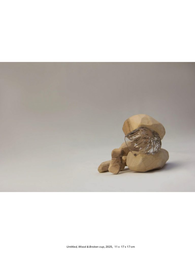 Breaking-Whats-Broken-Shekar-Bahrami-Bostan-Gallery-2025-1_page-0030