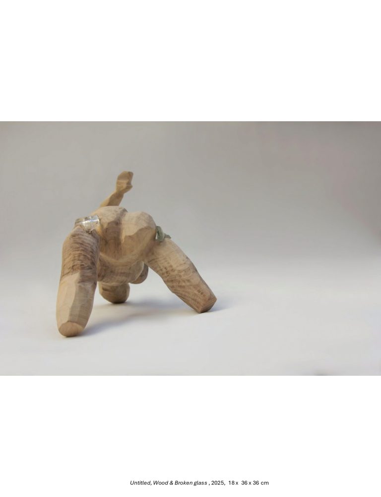 Breaking-Whats-Broken-Shekar-Bahrami-Bostan-Gallery-2025-1_page-0032