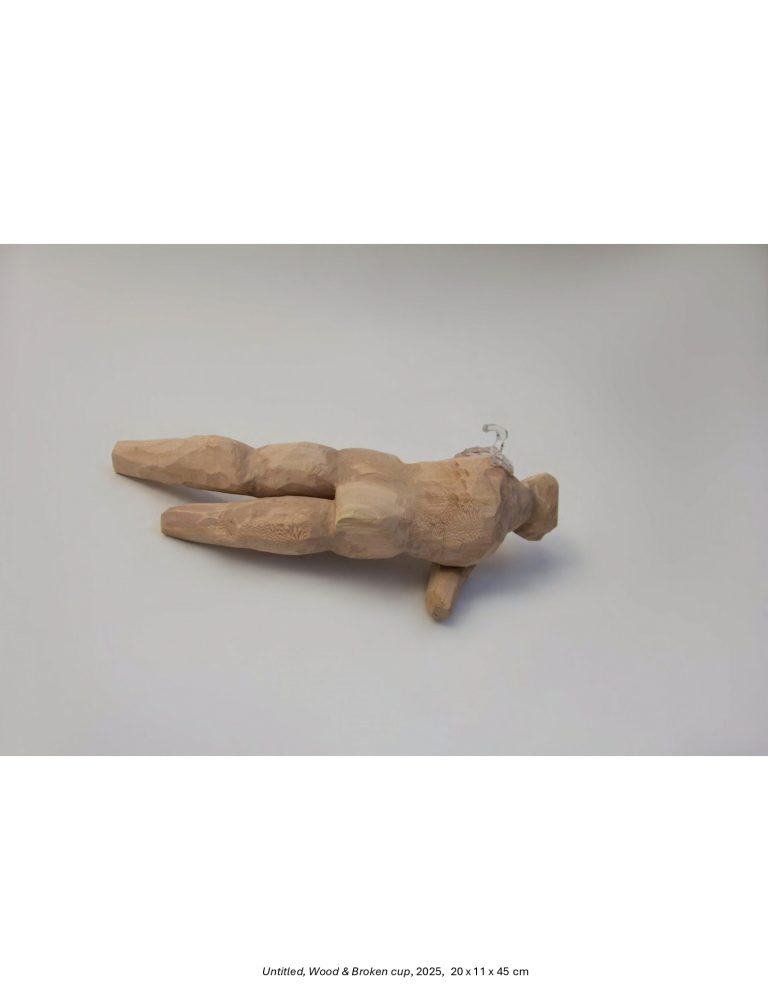 Breaking-Whats-Broken-Shekar-Bahrami-Bostan-Gallery-2025-1_page-0038