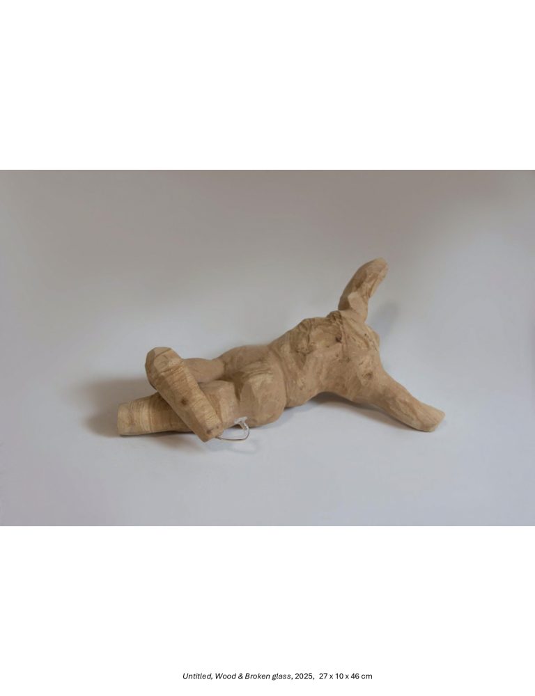 Breaking-Whats-Broken-Shekar-Bahrami-Bostan-Gallery-2025-1_page-0048