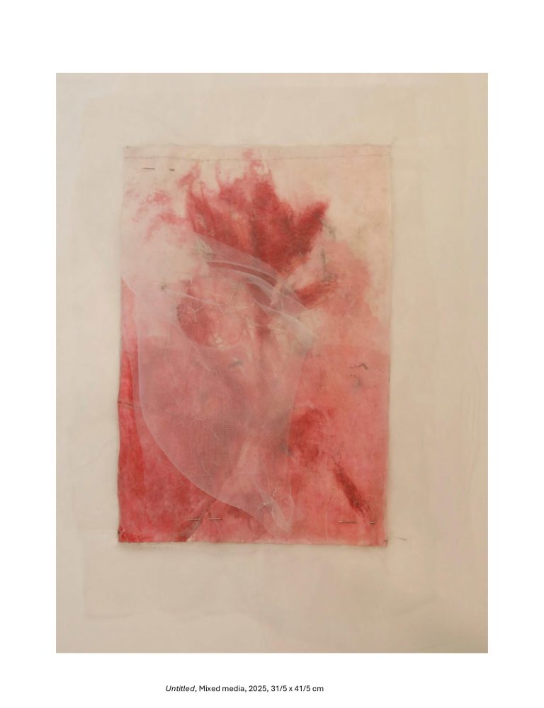 Untitled, Mixed media, 2025, 31/5 x 41/5 cm