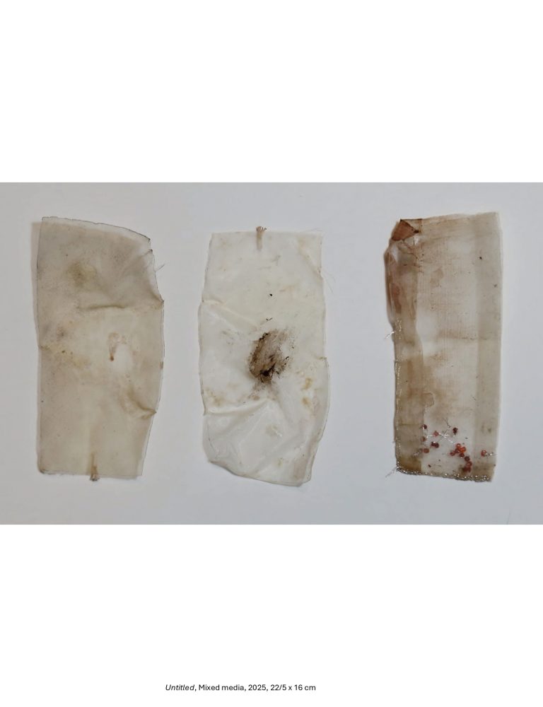 Untitled, Mixed media, 2025, 22/5 x 16 cm