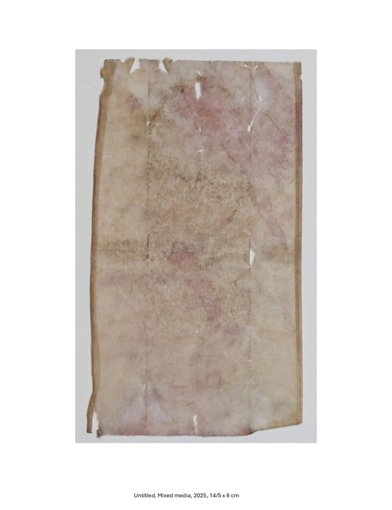 Untitled, Mixed media, 2025, 14/5 x 8 cm
