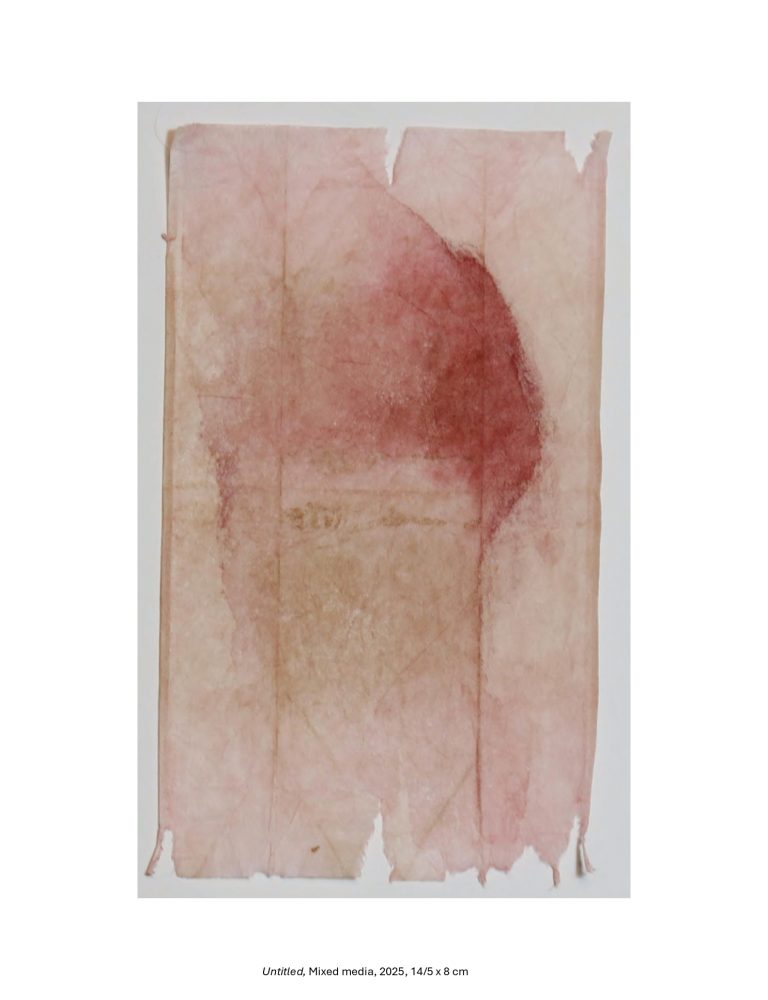 Untitled, Mixed media, 2025, 14/5 x 8 cm