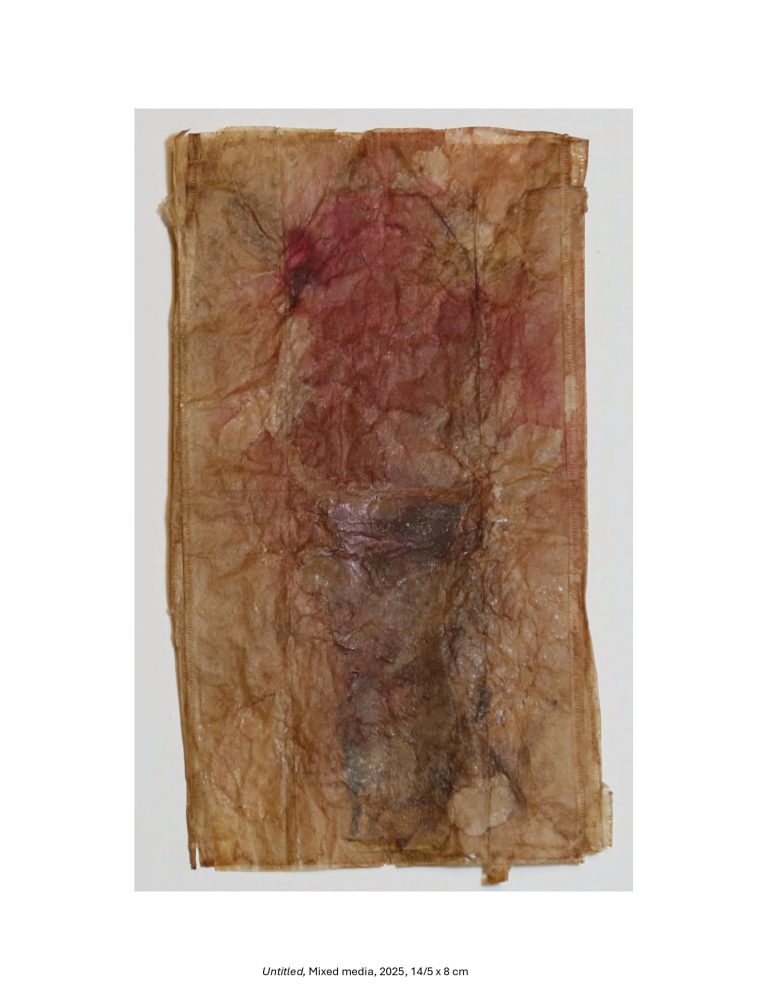 Untitled, Mixed media, 2025, 14/5 x 8 cm