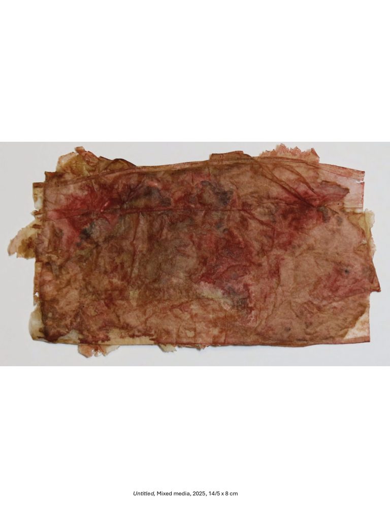 Untitled, Mixed media, 2025, 14/5 x 8 cm