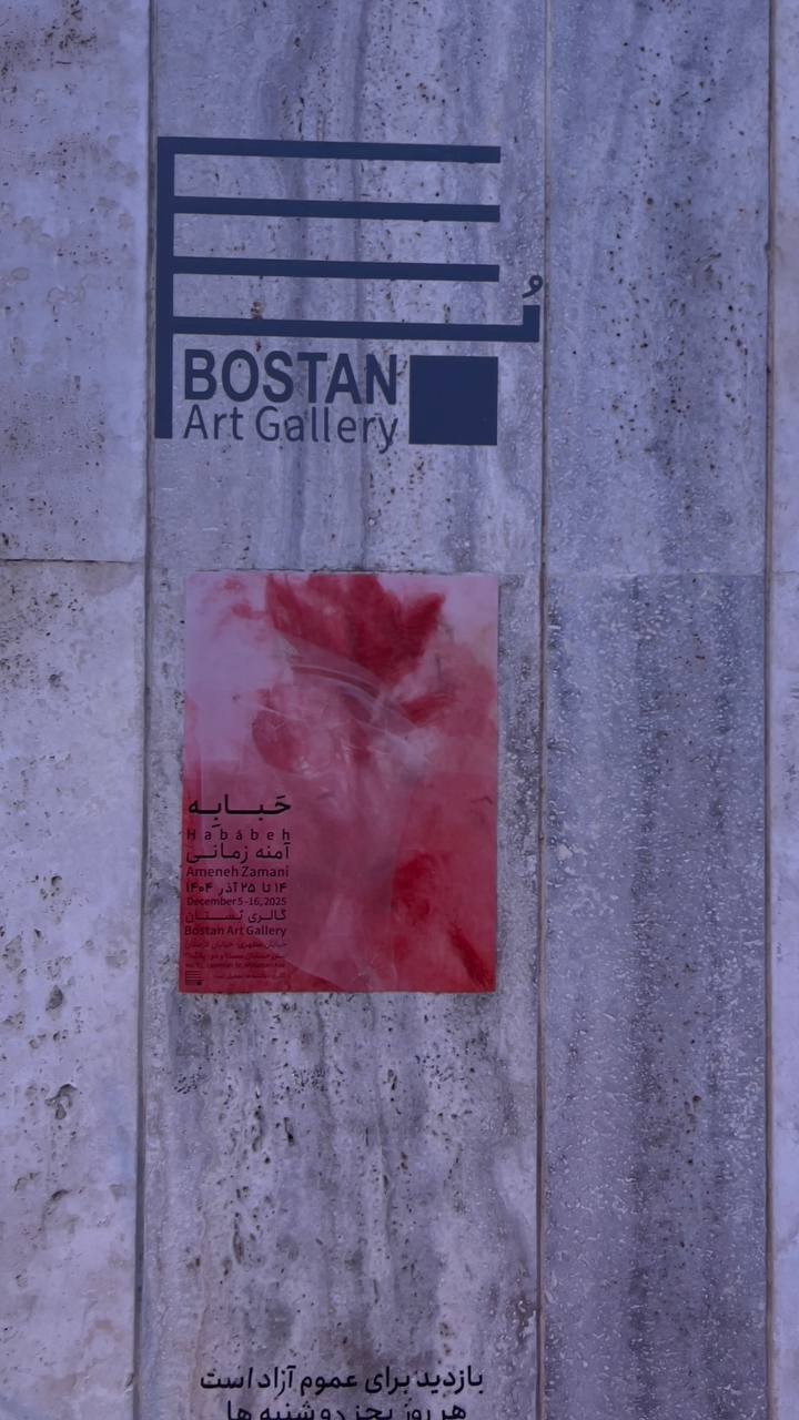 IMG_20251206_104035_694