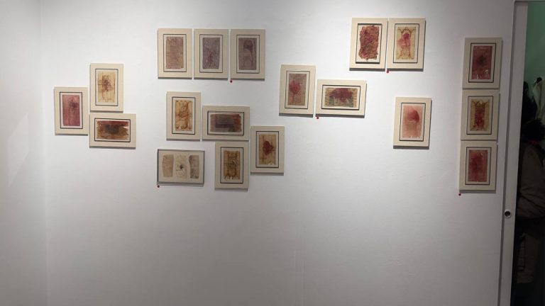 IMG_20251206_104145_778