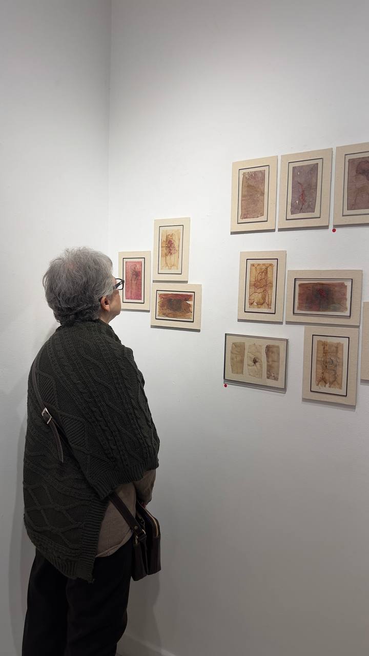 IMG_20251206_104159_730