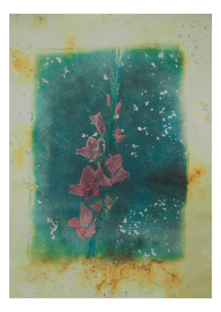 Meditations on Flowers