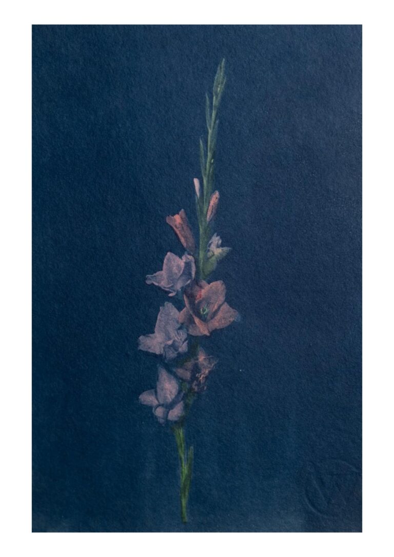 Meditations on Flowers