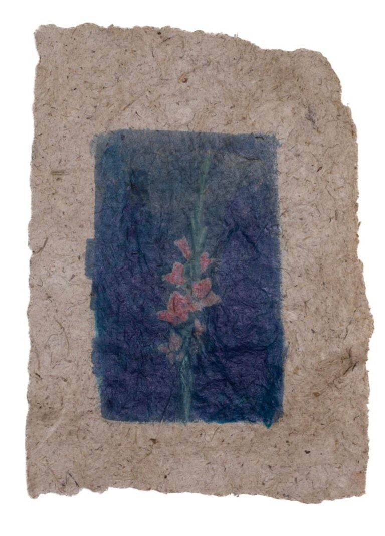 Meditations on Flowers